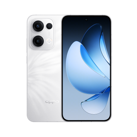 Reno 13 F 4G (CPH2701)
